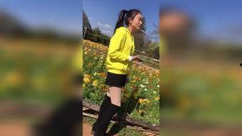 国产户外写真视频,国产户外写真视频中的诗意画卷