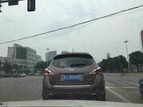 国产车牌制作方法视频,一窥车牌制作全貌